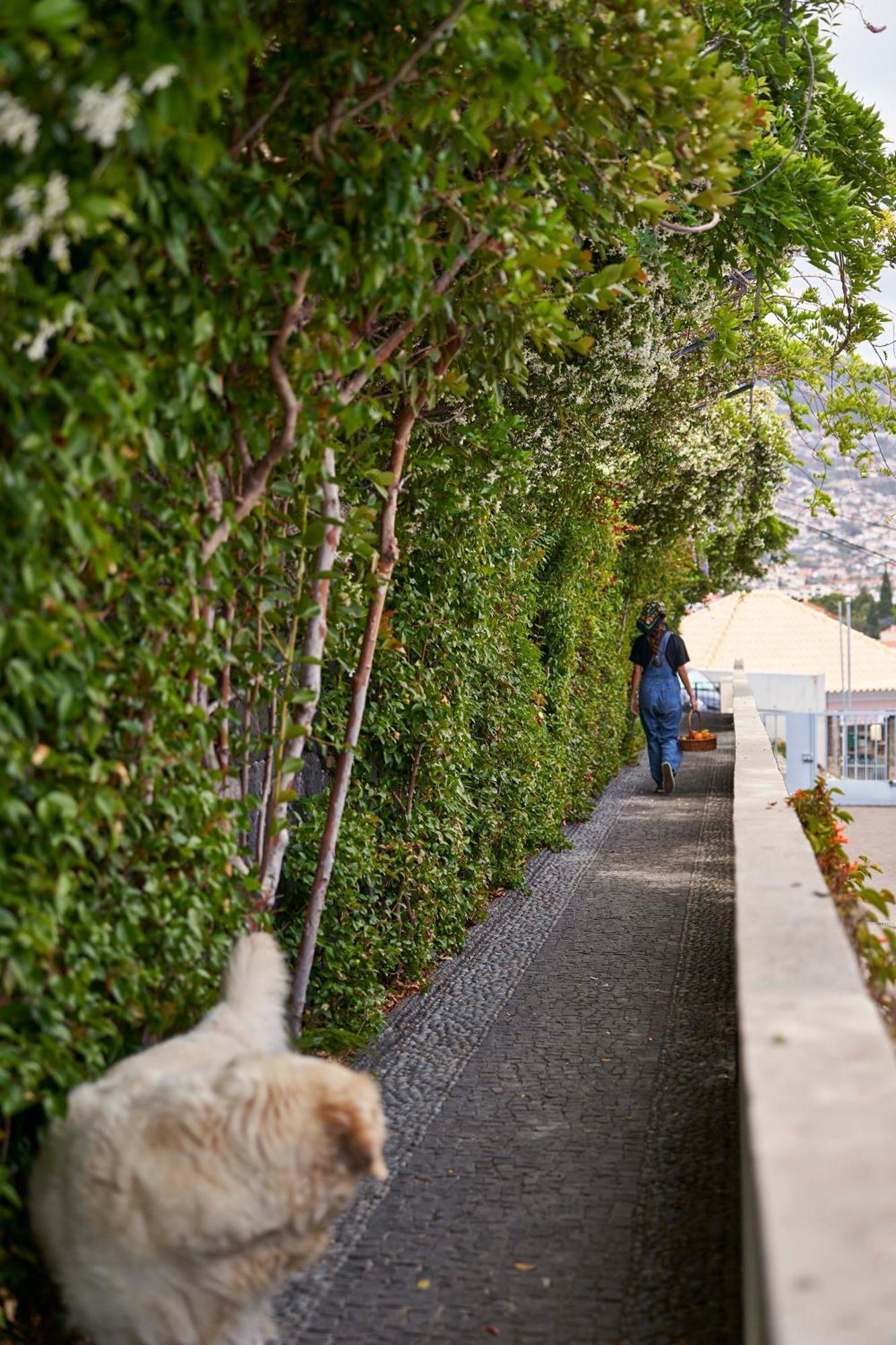 Bordal Houses Funchal (Madeira) Exterior foto