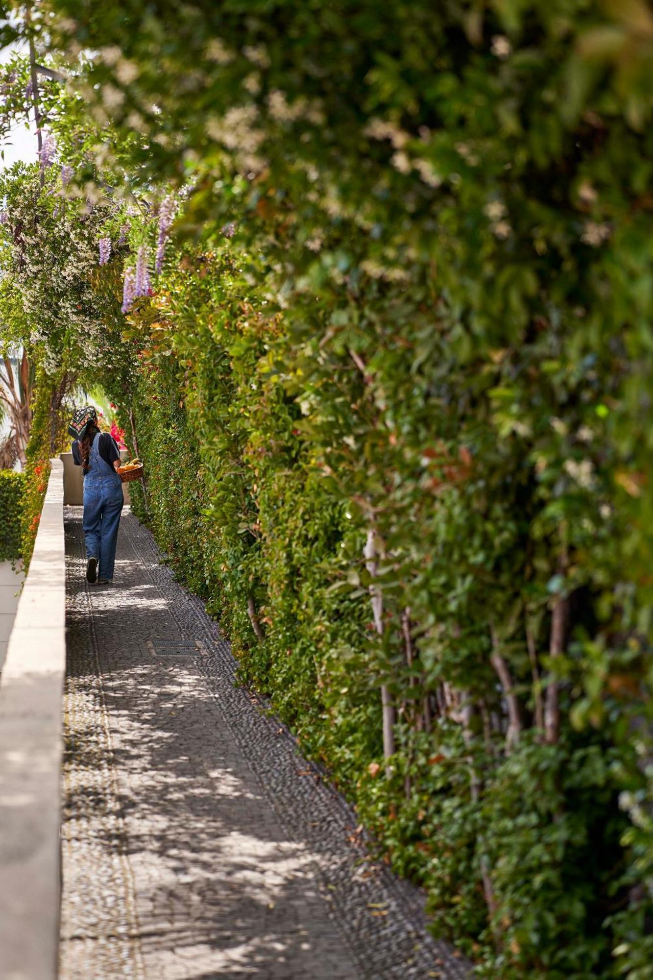 Bordal Houses Funchal (Madeira) Exterior foto