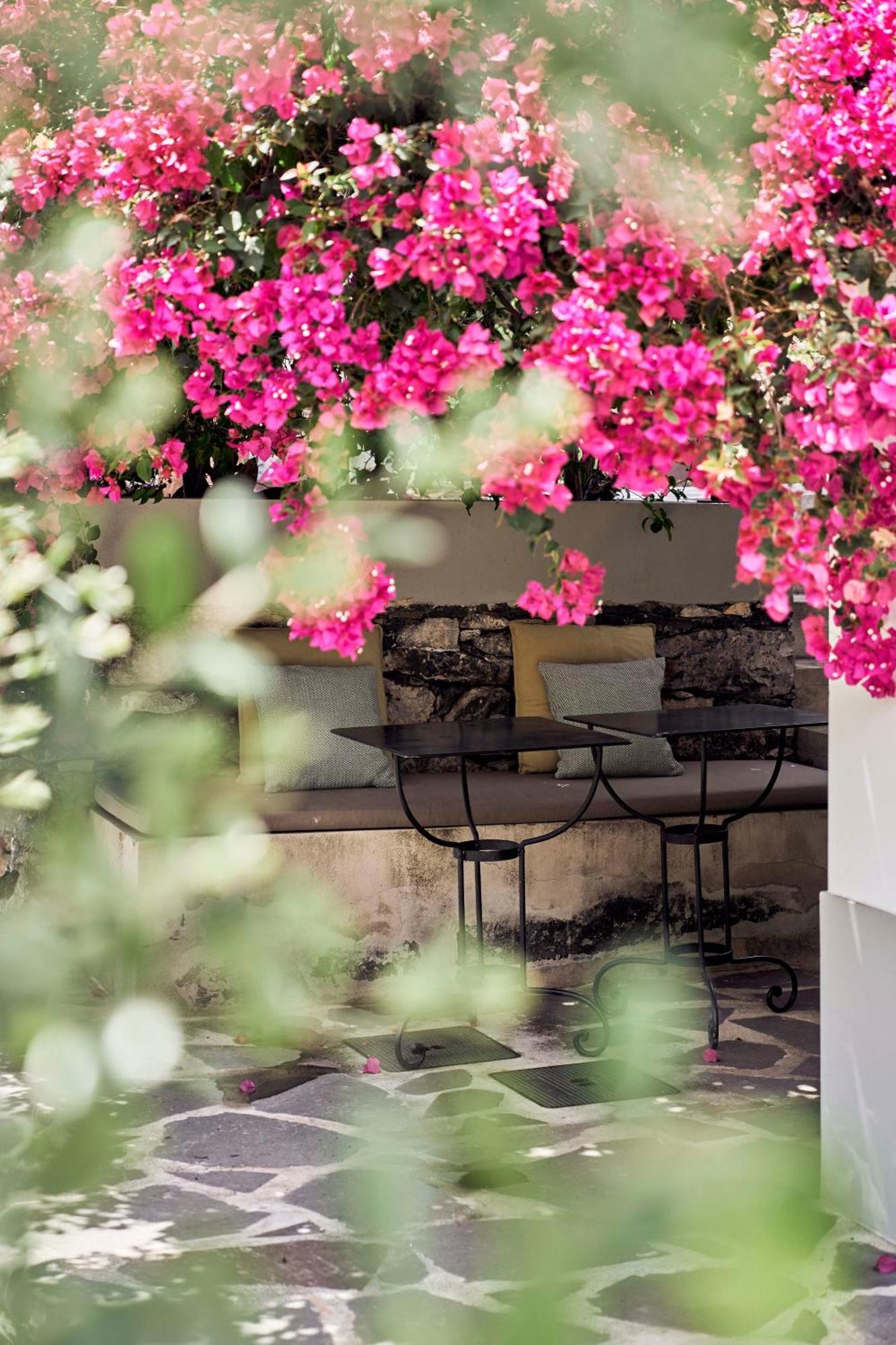 Bordal Houses Funchal (Madeira) Exterior foto